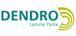 Dendro Lamine Parke