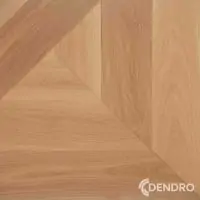 Hitit Dendro min