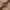 IMG 2776 min