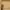 Stil D11 min.jpg rotated