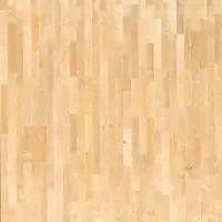 TH 8540002 001 800 800