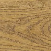 plank meridyen 1 rotated