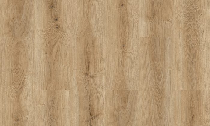 fs045