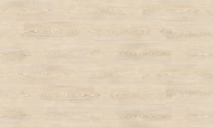 V 586